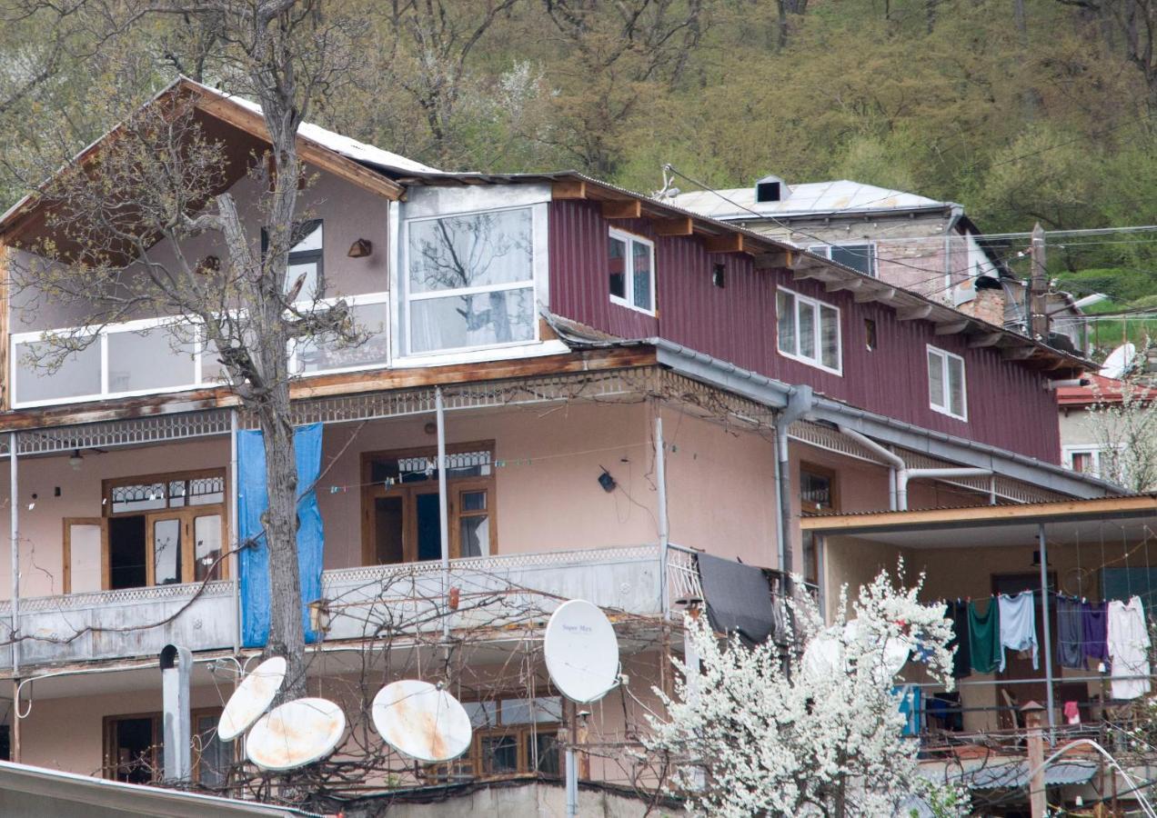Rachvela'S Guest House Bordžomi Exteriér fotografie